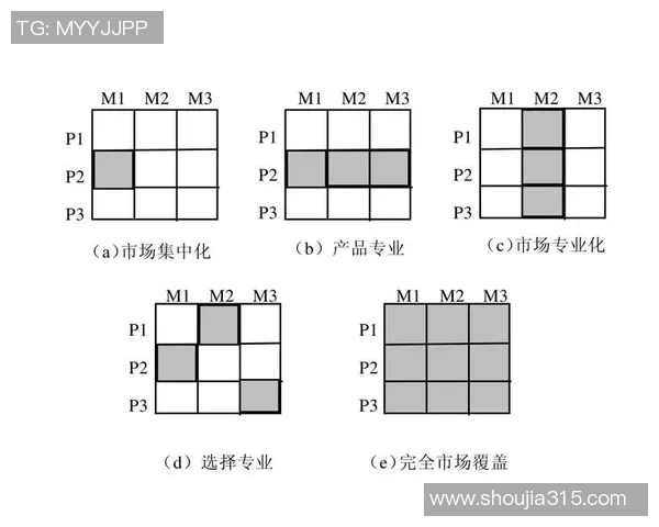 南京足球队运营全景解析：从管理模式到市场策略的深度剖析