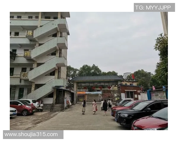 杭州足球队逆袭之路的真实故事与奋斗精神全记录