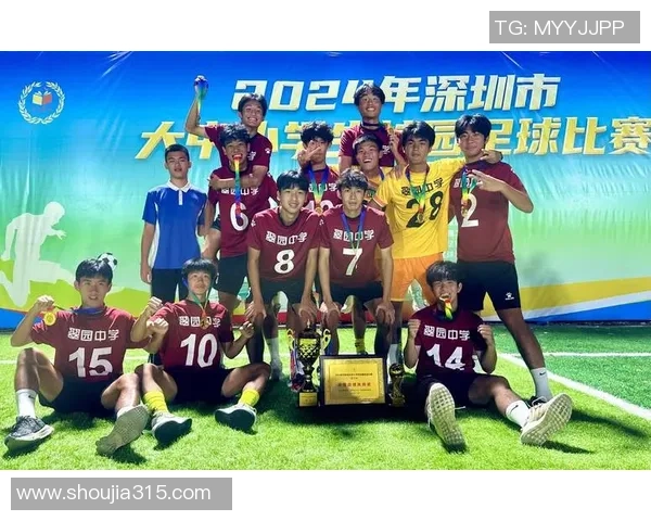 深圳足球队中路突破革新之路探讨与战术分析