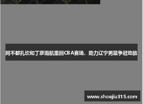 阿不都扎坎和丁彦雨航重回CBA赛场，助力辽宁男篮争冠劲旅